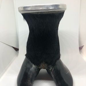 Meet your Posher, Fernando